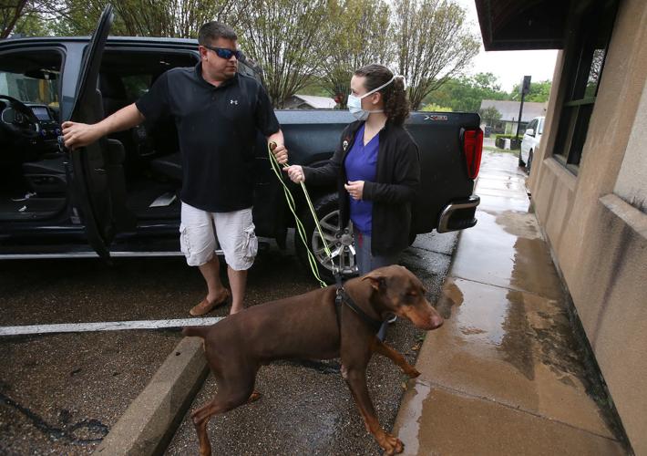 Waco veterinarians adapt to COVID-19 crisis; nonprofit curtails spay-neuter  surgeries