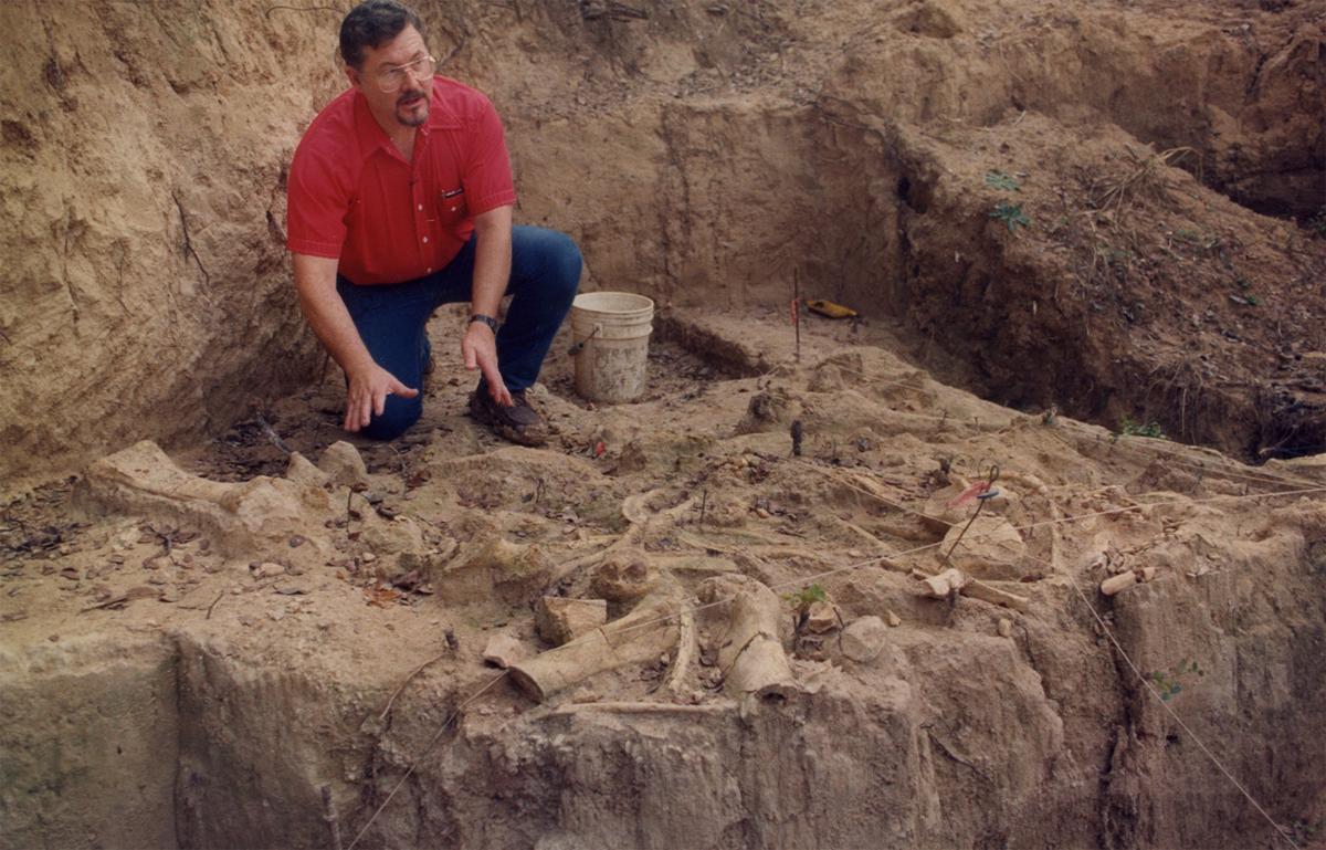 Waco mammoth site coupons