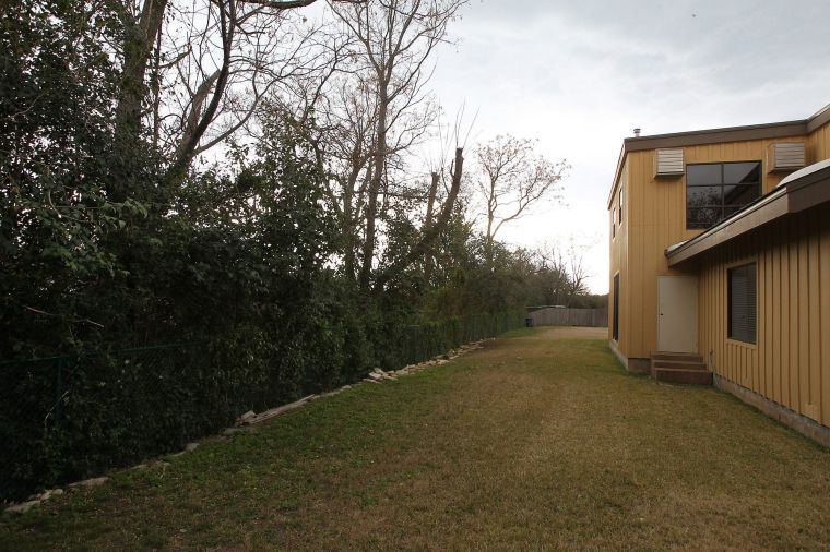 Black Cougar Sightings Have Waco Neighborhood On Alert Government Wacotrib Com