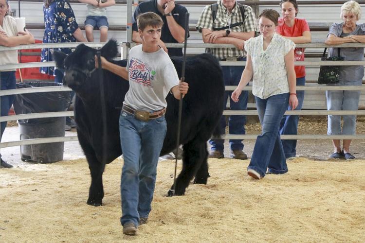 "Don't forget where you came from": Senior 4-H'ers prepare to leave the club behind