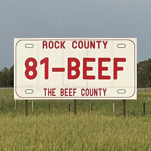 Billboard in Rock County.jpg