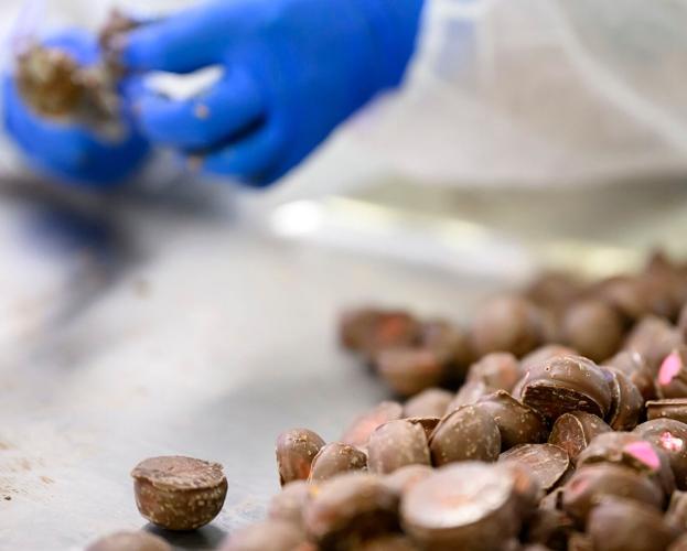 Twin Bing 100th anniversary