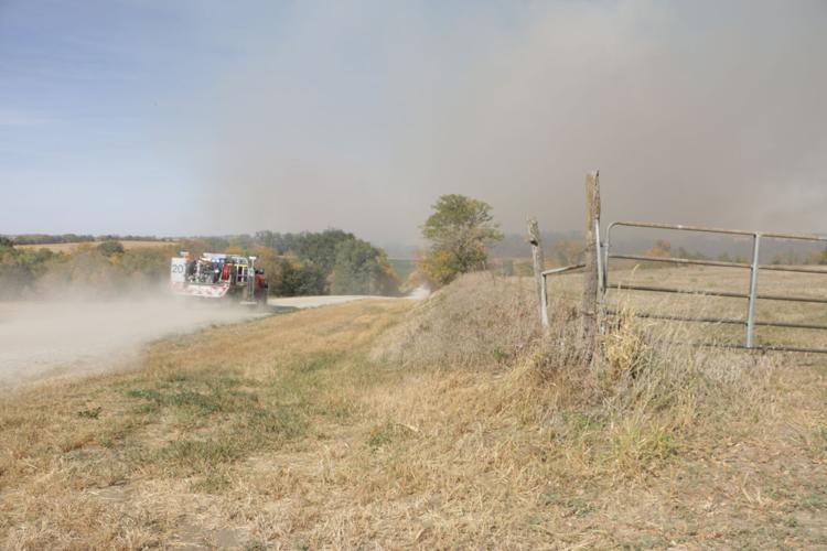 Cornfield fire