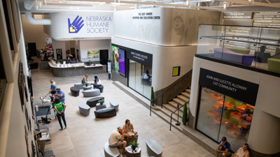 Nebraska Humane Society investigation: Animals feel effects of astonishing worker turnover