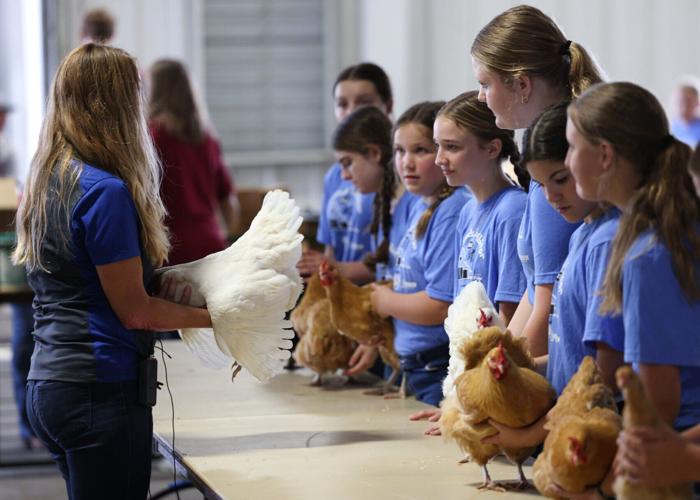 Lancaster County Super Fair , 8.3