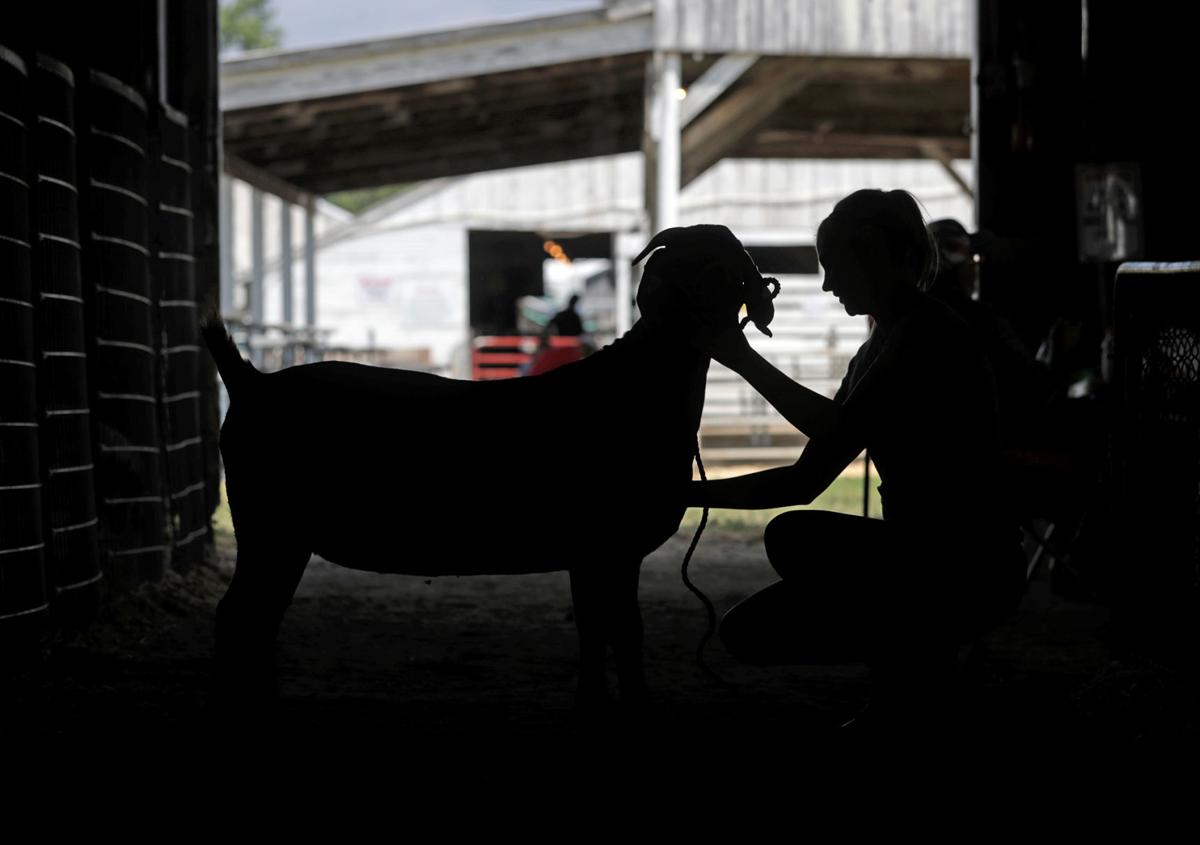 20180722_new_pottcofair_10