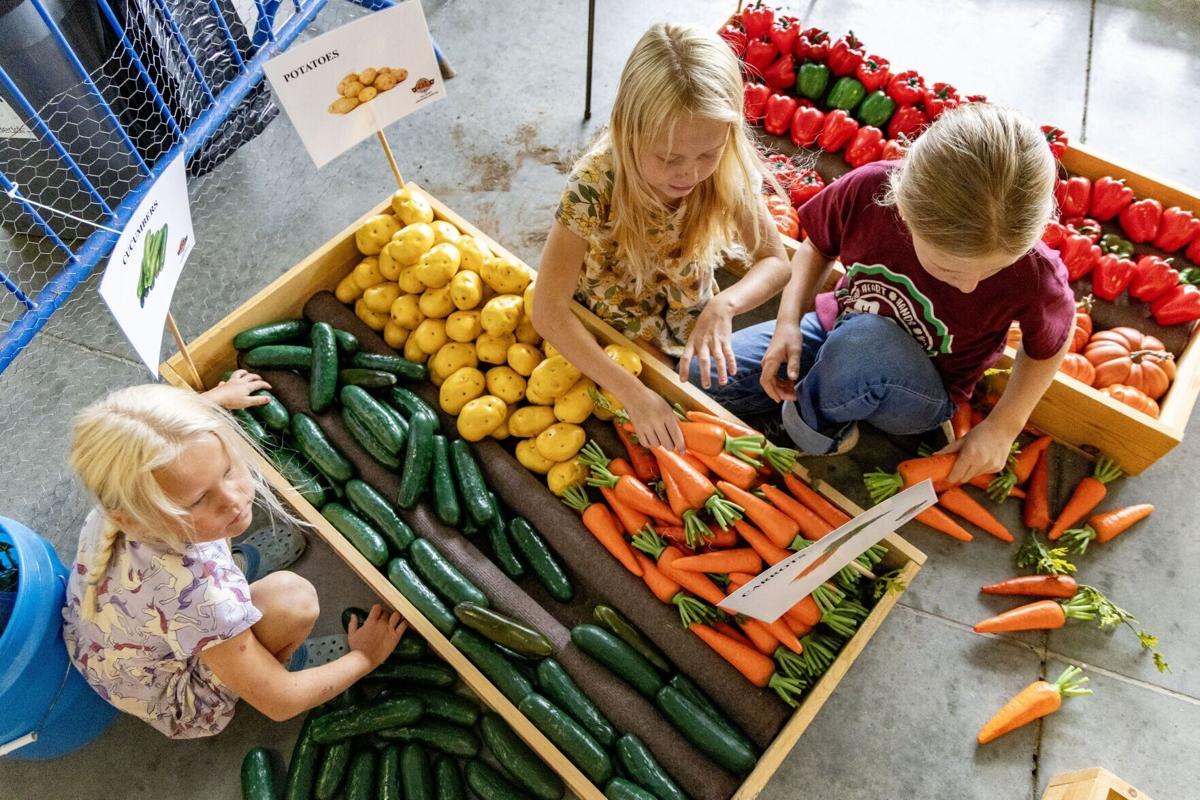 072426_LittleFeetontheFarm