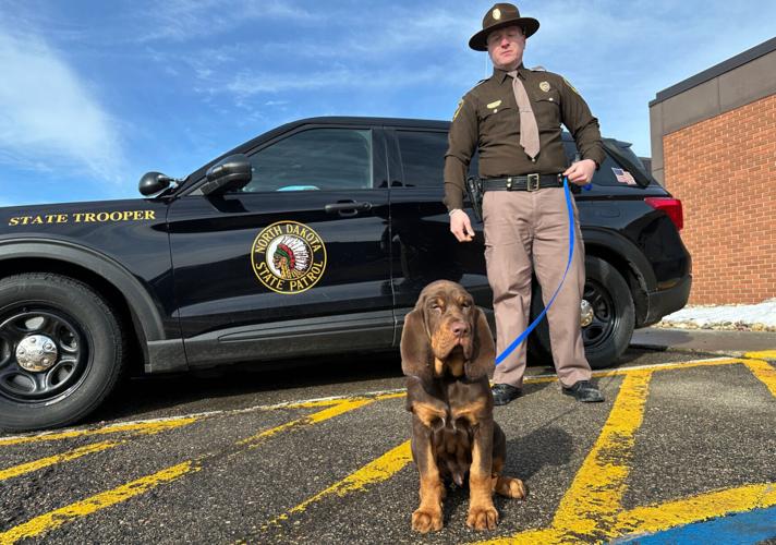 Bloodhound Patrol North Dakota Beau