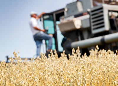 Western Pennsylvania’s last remaining estate-grown oats