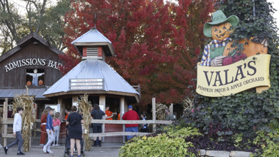 Vala kids will carve out the future of popular Gretna pumpkin patch, founder says