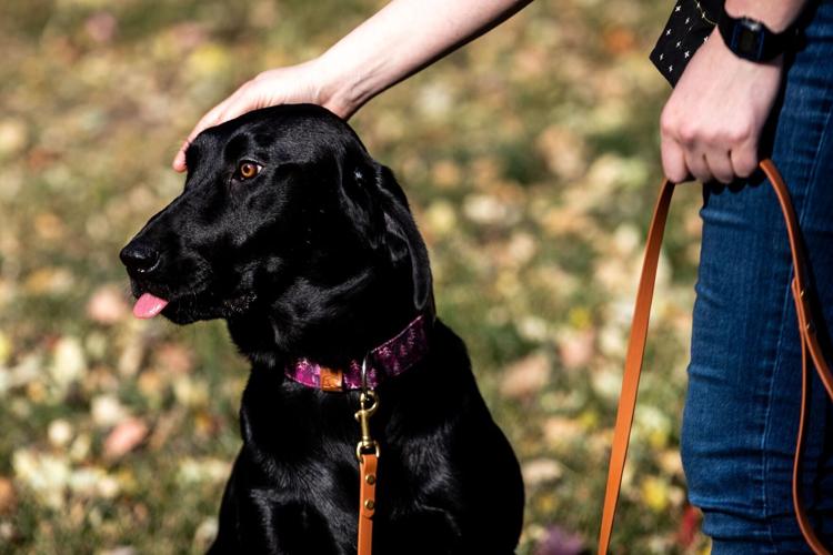 110622-owh-new-animalrescue-LS02