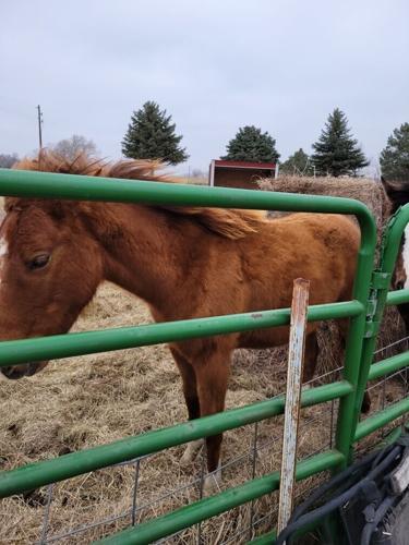 Photo Mar 01 2024, 10 57 43 AM.jpg