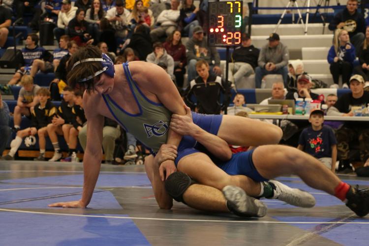 Beetison v Seward 1.JPG