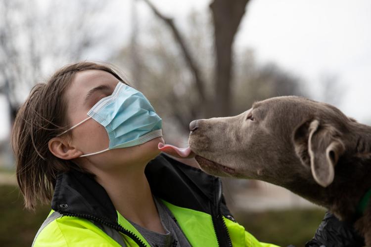 20200411_new_doggrooming_ar01