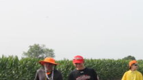 Fewer Detasselers Out In Fields Latest Headlines Wahoo Ashland Waverly Com