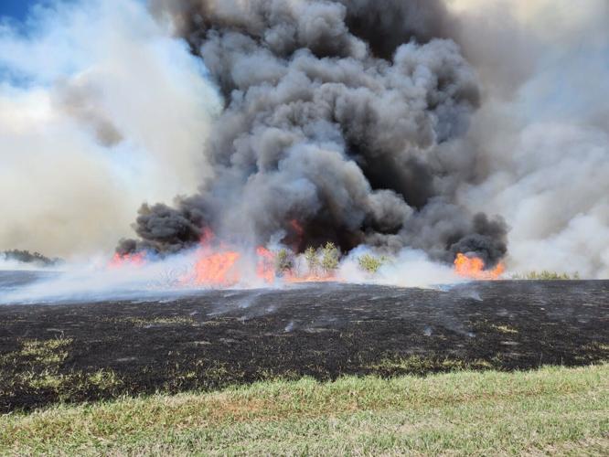 PrescribedBurn_2_AustinKlemm.jpg