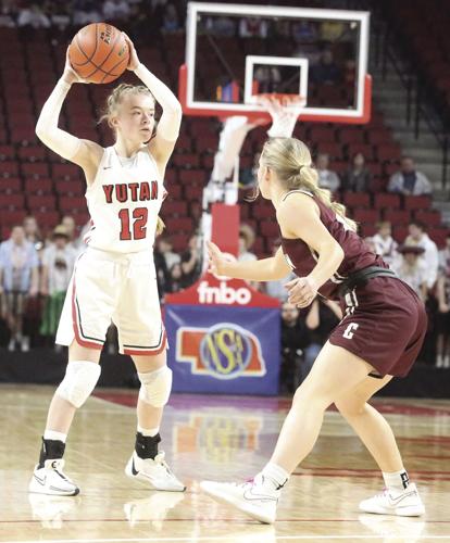 Delaney Shield(1).jpg