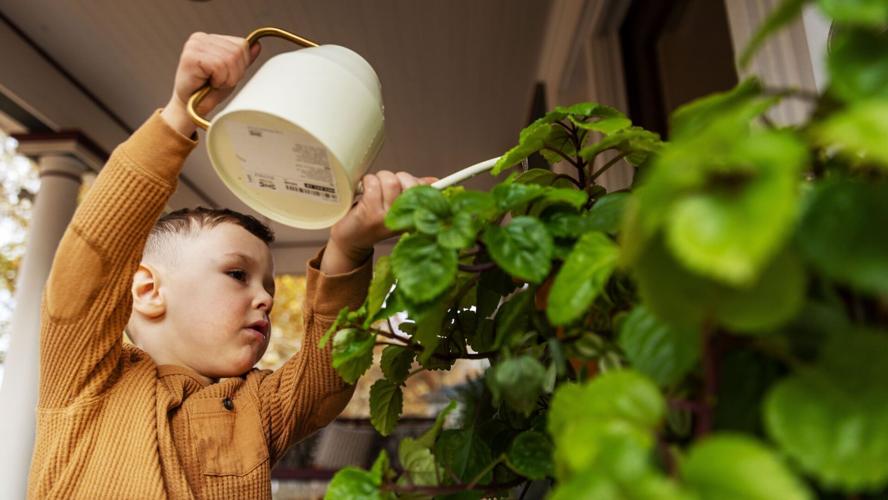 110723-owh-new-water-cm-02