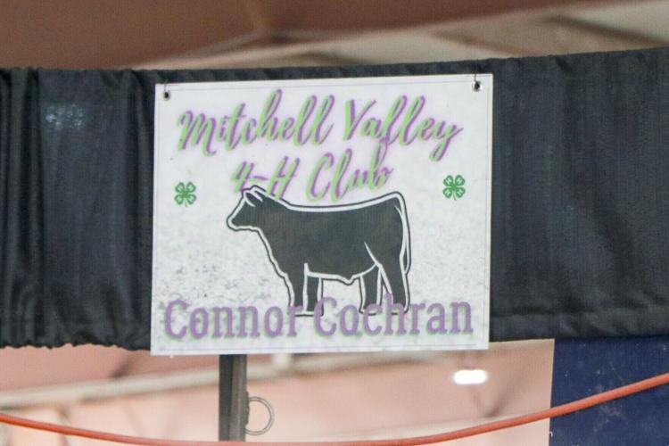 "Don't forget where you came from": Senior 4-H'ers prepare to leave the club behind