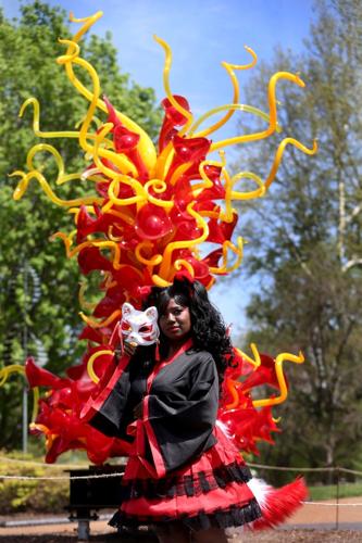 Glass artist Chihuly will bring ‘most ambitious' exhibition to Missouri Botanical Garden