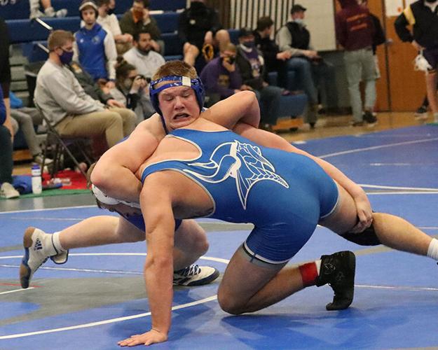 Bluejay wrestling
