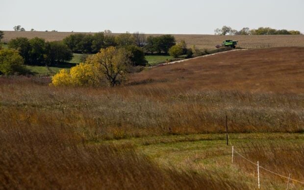 Spring Creek Prairie Audubon Center
