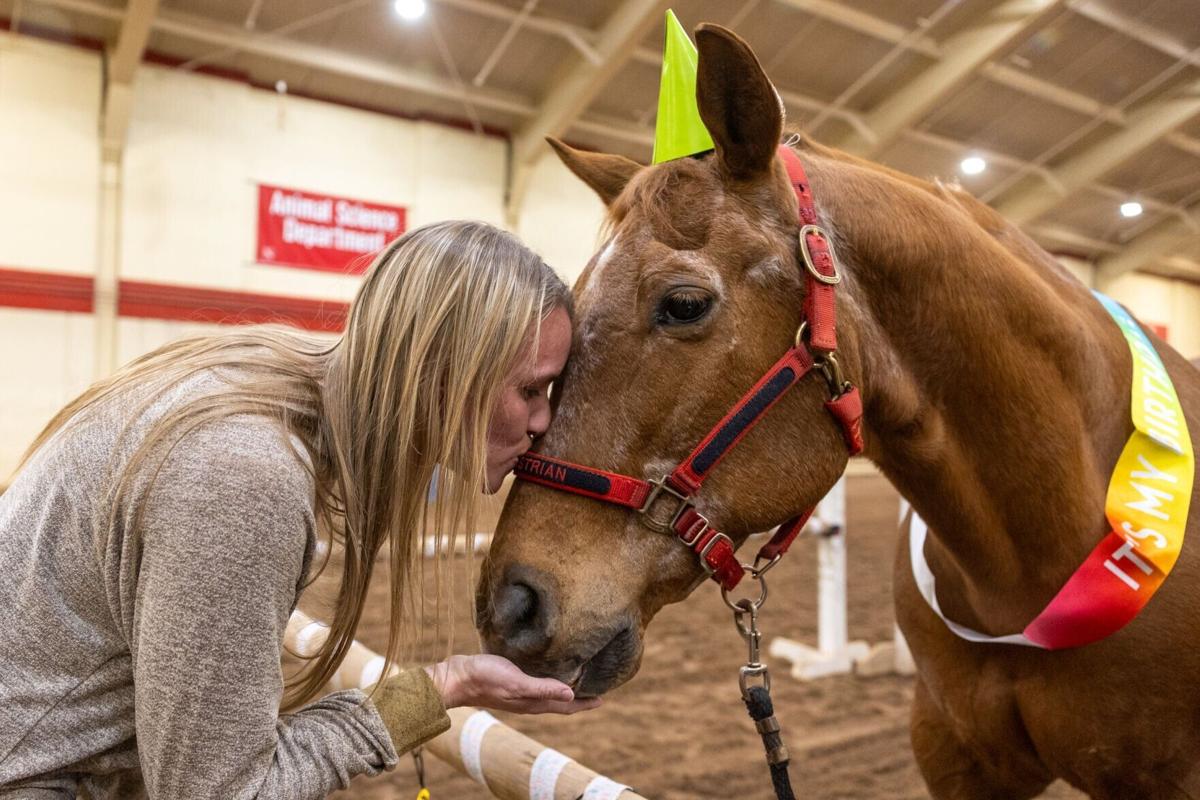 DT’s Birthday Party, 3.31