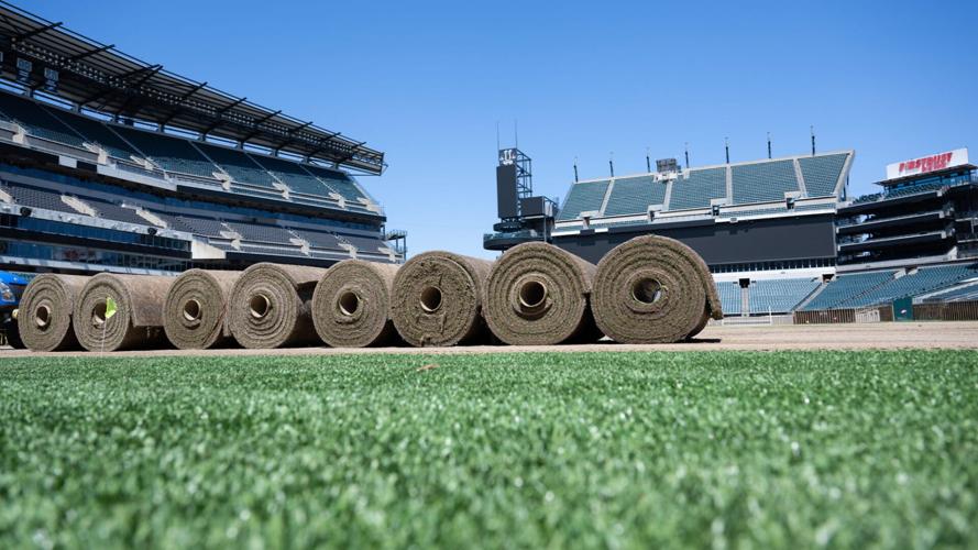 The Rutgers turfgrass being used at the World Cup venues is a mix of Blue Note, Bolt, and Legend Kentucky bluegrass varieties, and was put down at Lincoln Financial Field in Philadelphia in early May.