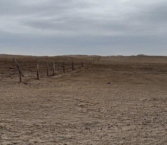 "There's nothing left to burn": Circle L Ranch, neighbors affected by Morrill Fire