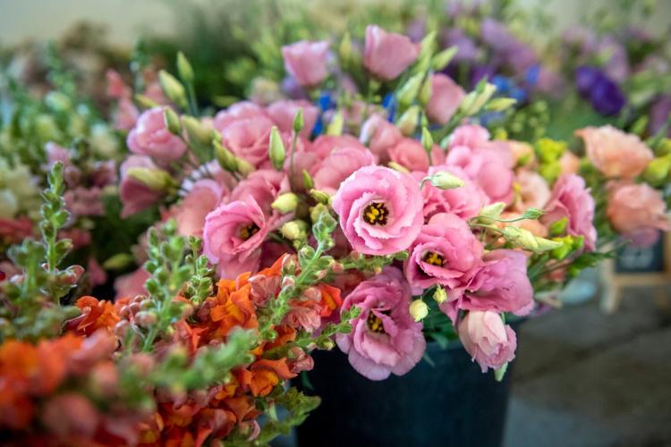 West Mill Flowers, 7.1