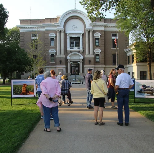 iron horse - p3 - photography show