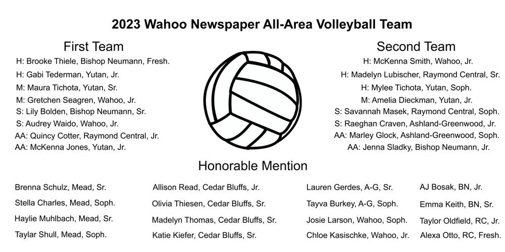 All-Area Volleyball Team Graphic.jpg