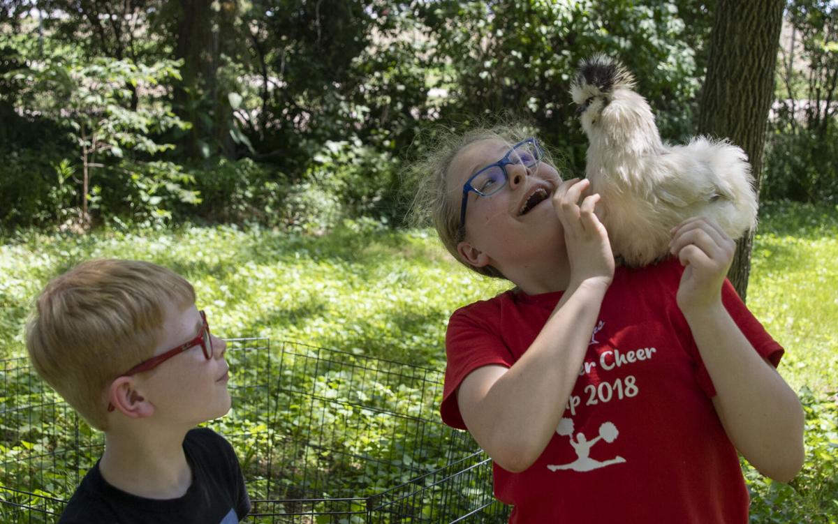 PoultryPals06.jpg