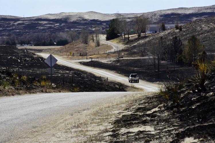 Massive wildfires dealt another blow to ranchers; climate change may make them more common