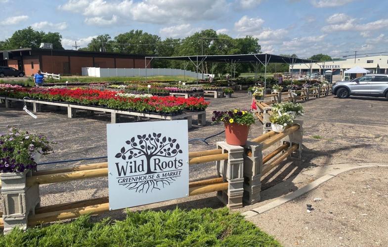 052826-gii-news-wild-roots-p2