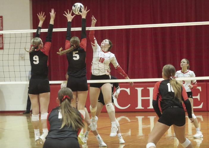 Madison Wilson(1).jpg