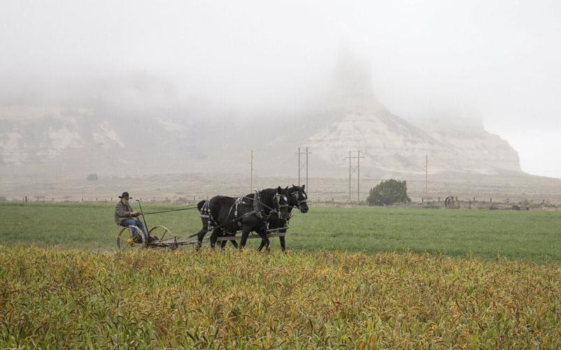 Harvest Festival bringing horse teams, tractor parade to Gering Saturday as it marks 30 years