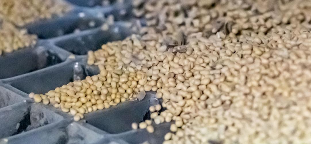 Progress: ADM, 2.6, 2.6