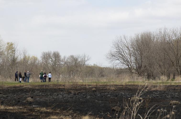 Wildlife Management 1