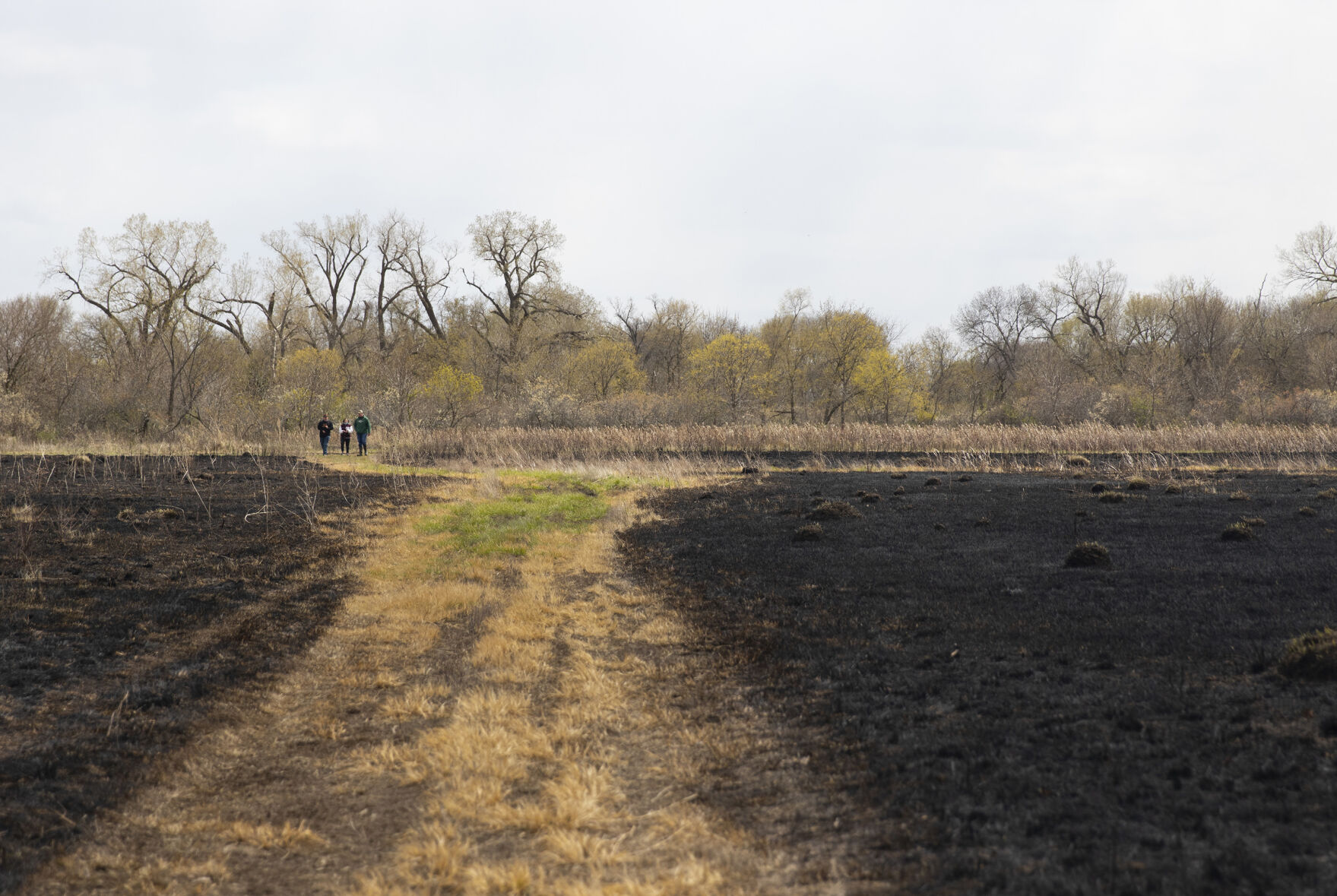 Wildlife Management 2