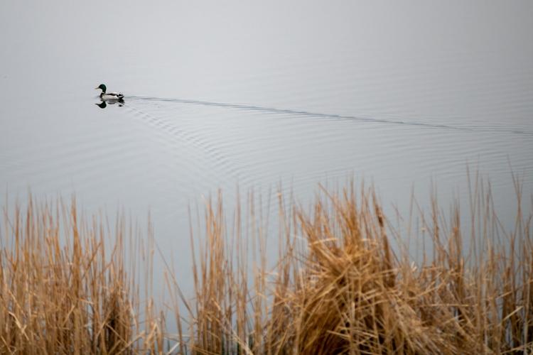 20200426_new_lake_ar01