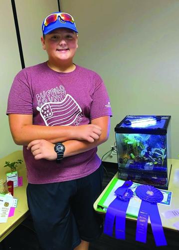 4-H club - p1 - paludarium project
