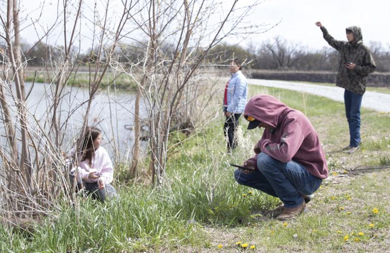 Wildlife Management 3