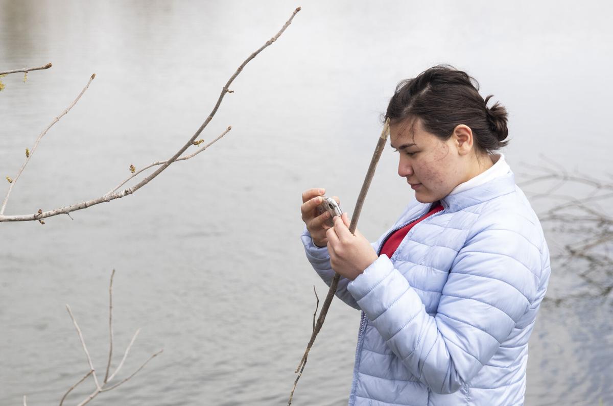 Wildlife Management 4