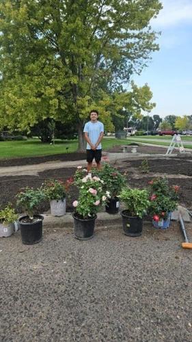 NPHS student restores Rose Klemm Memorial Rose Garden