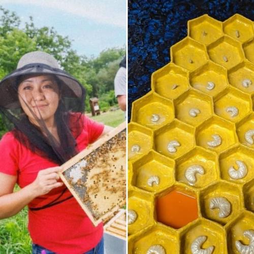 Friday Pollinator event, 6.9