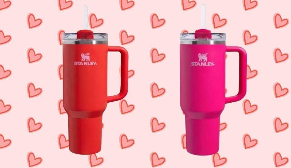 Why Is TikTok Obsessed With Stanley Cups? Water Bottle Craze Racks