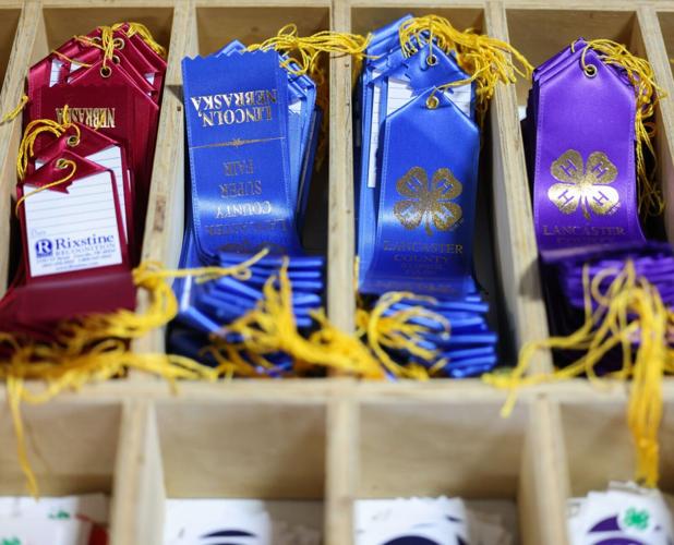 Lancaster County Super Fair , 8.3