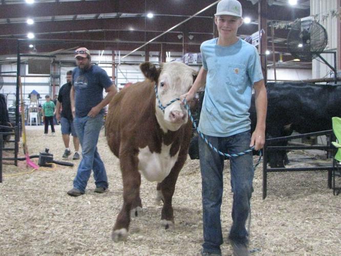 Fair Kids: Coltyn and steer