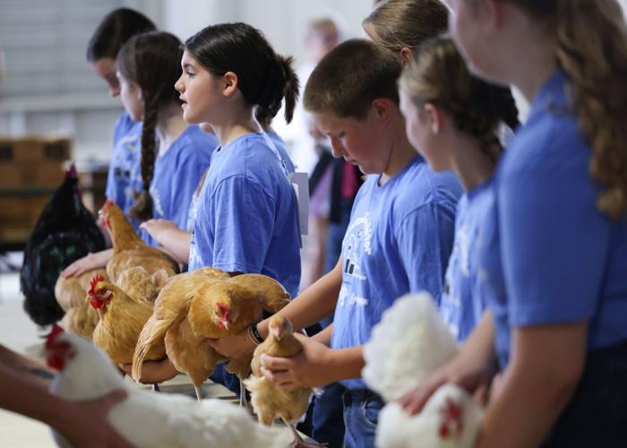 Lancaster County Super Fair , 8.3